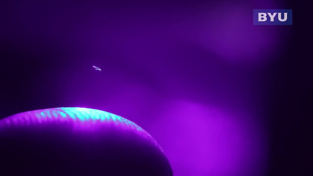 Ologrammi 3D e immagini volumetriche