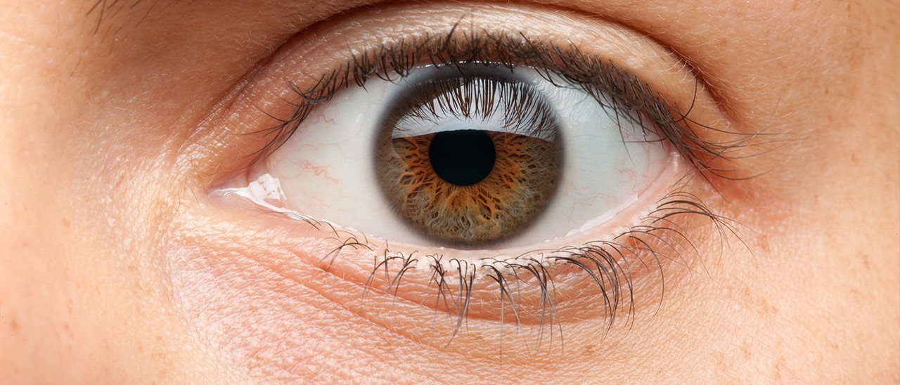 MWC 2018, la fotografia al centro