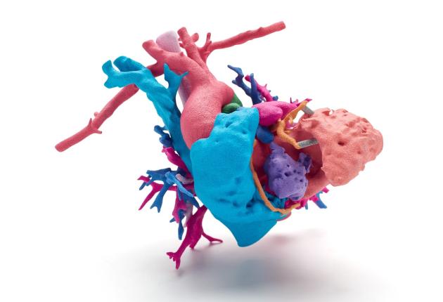 Cuore stampato in 3D