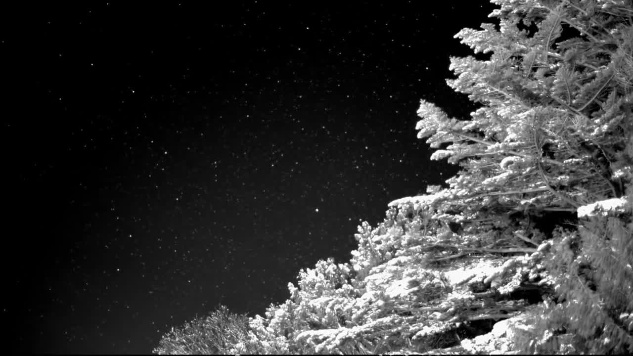 Canon 35MMFHDXS, sensore per slow motion notturni