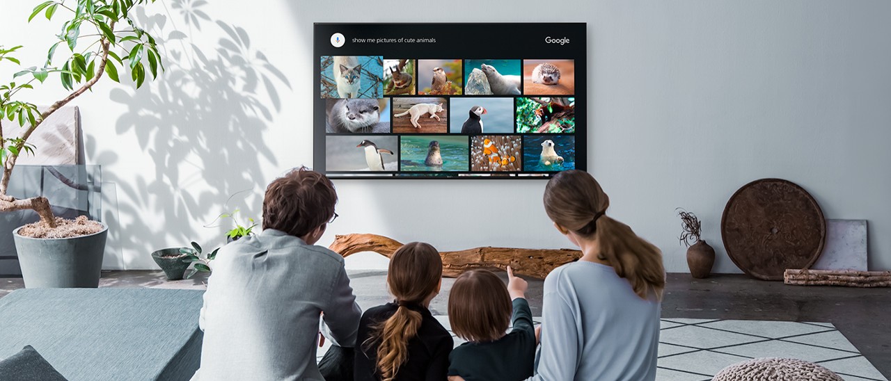 Sony, due nuovi TV 4K HDR con funzioni Smart