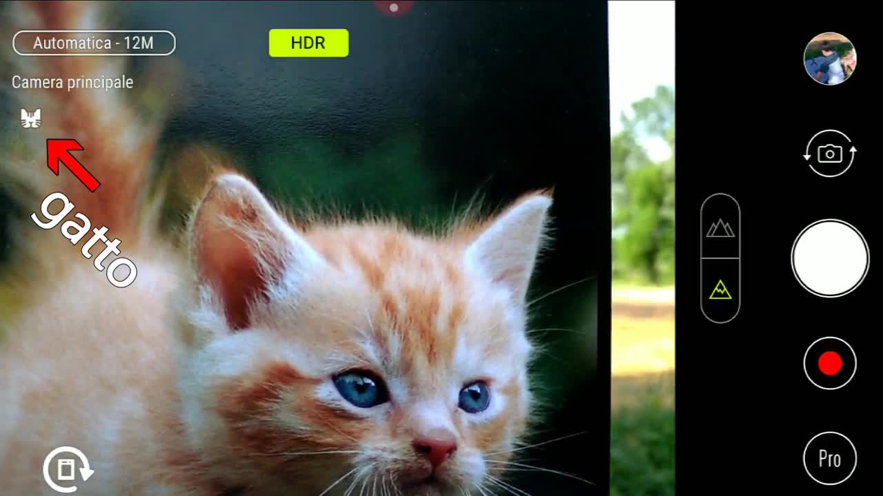 ASUS ZenFone 5: IA e fotografia, il test