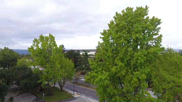 Apple Park - Volo in drone