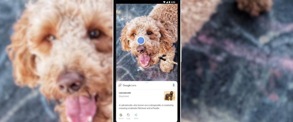 Google Lens disponibile sul Play Store