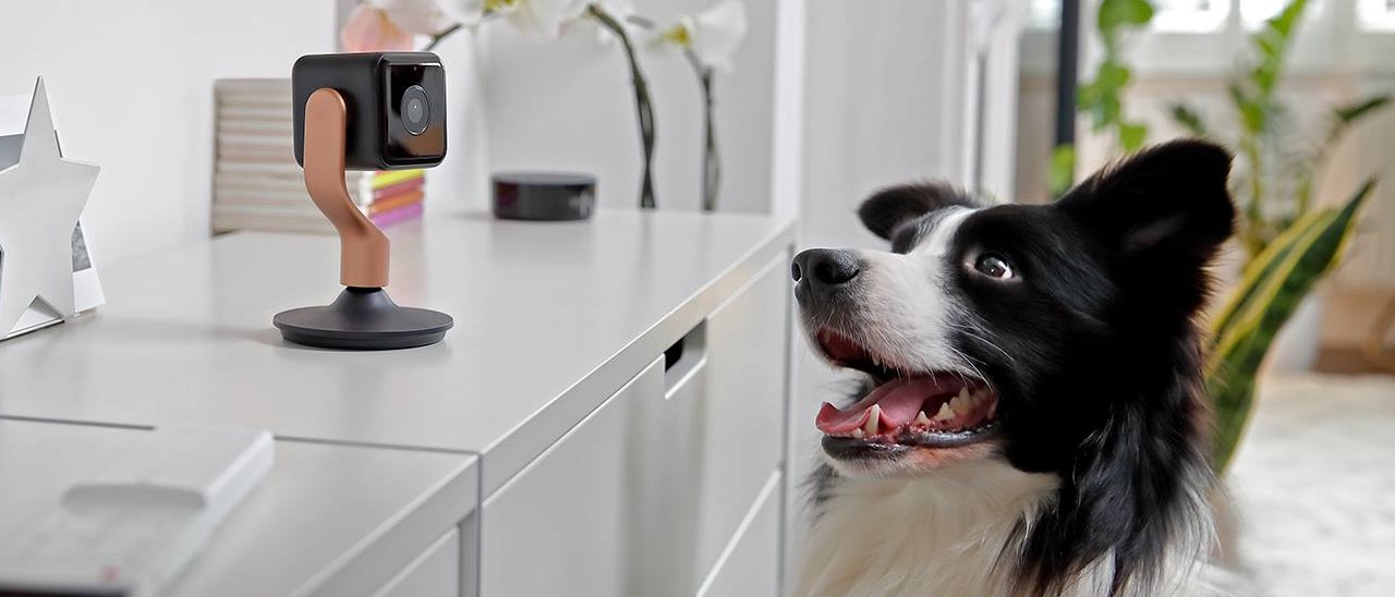 Nuove funzionalità per la videocamera Hive View