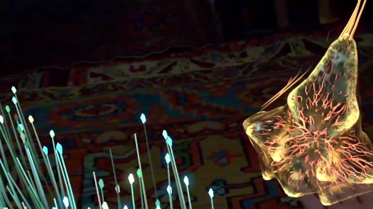 Tónandi: i Sigur Rós e Magic Leap