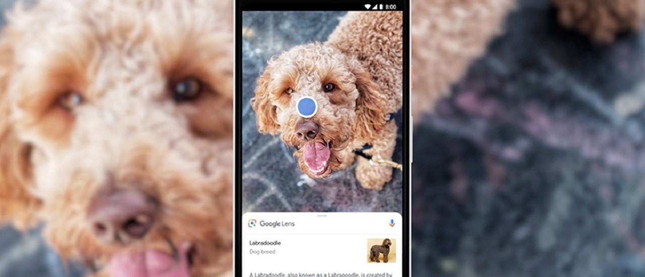Google Lens, ecco traduzioni e recensioni menu
