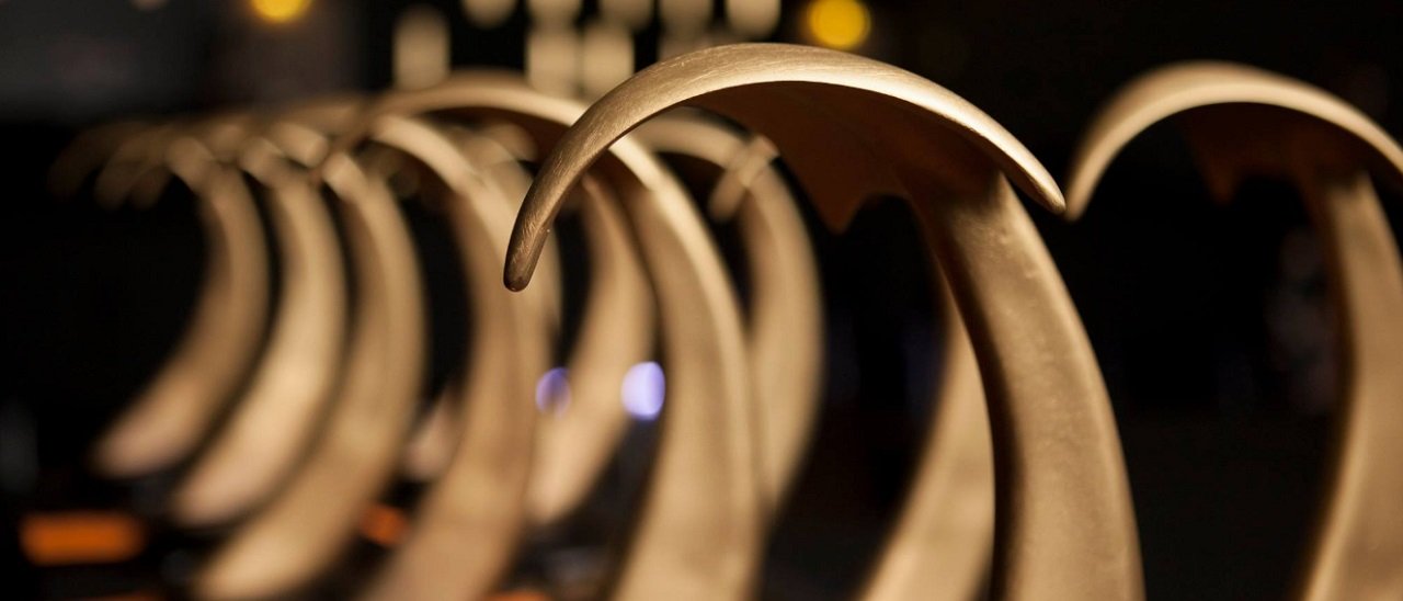 Italian Video Game Awards: svelate le nomination