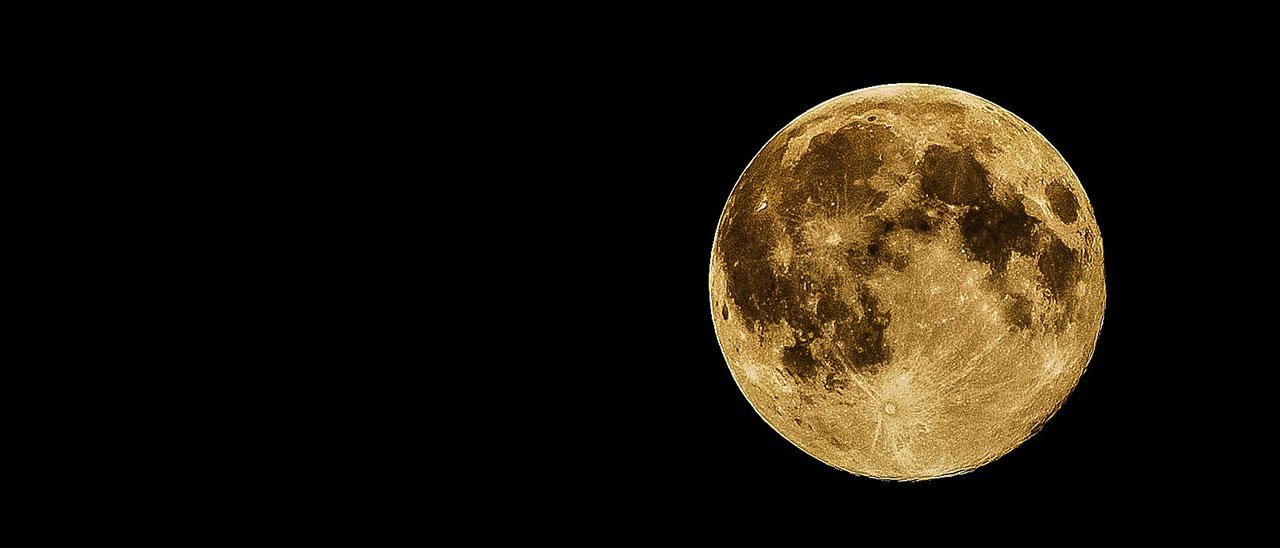 Cina sulla Luna fa germogliare semi di cotone