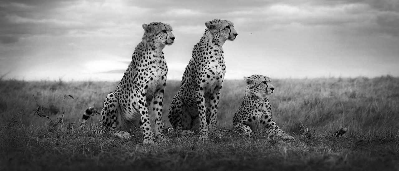 Sony World Photography Awards 8 italiani in finale