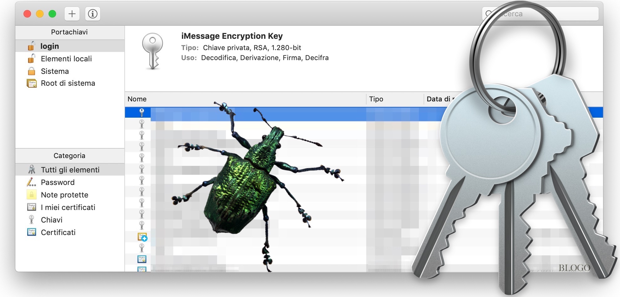 Grave Bug in Portachiavi macOS