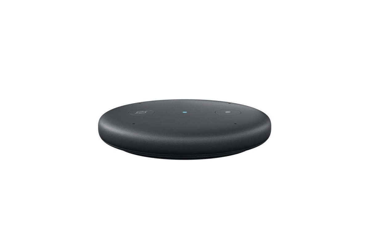 Amazon Echo Input