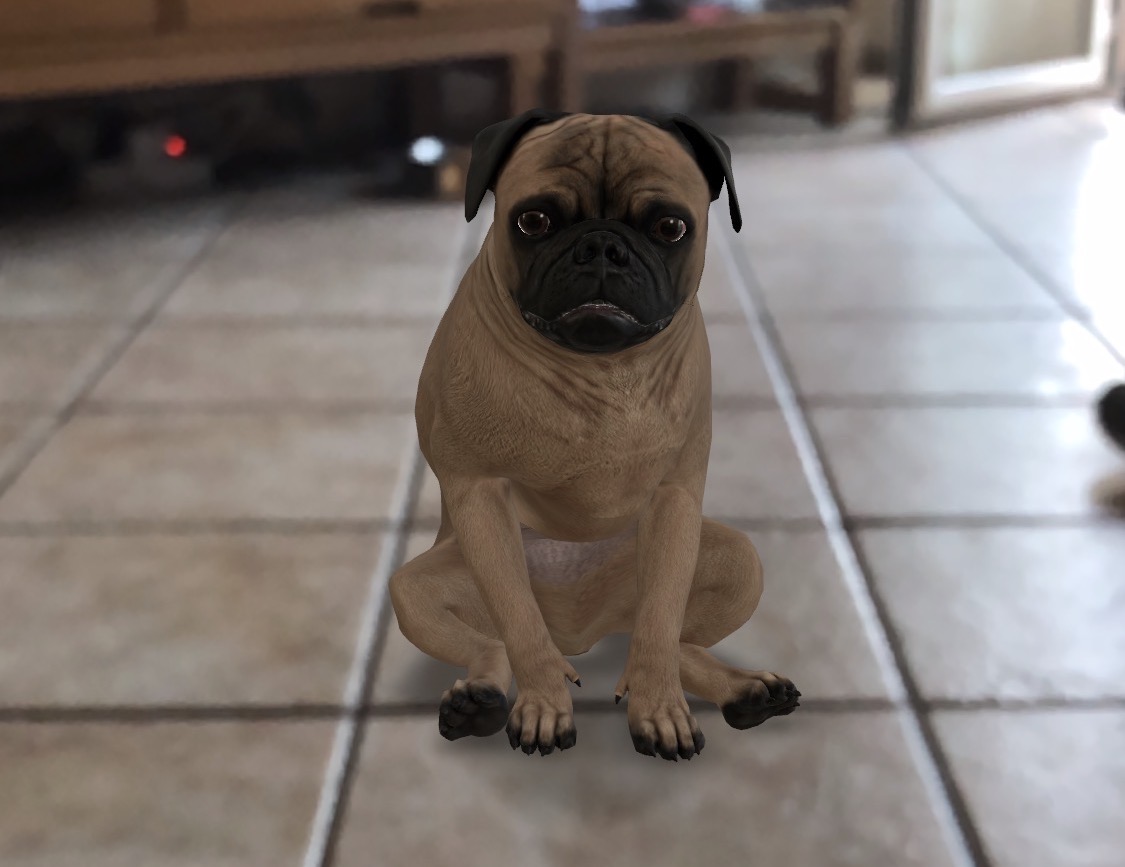 Google Animali 3D Carlino