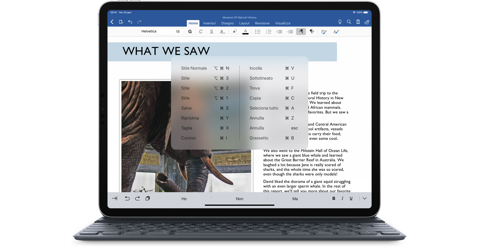Scorciatoie Tastiera iPad