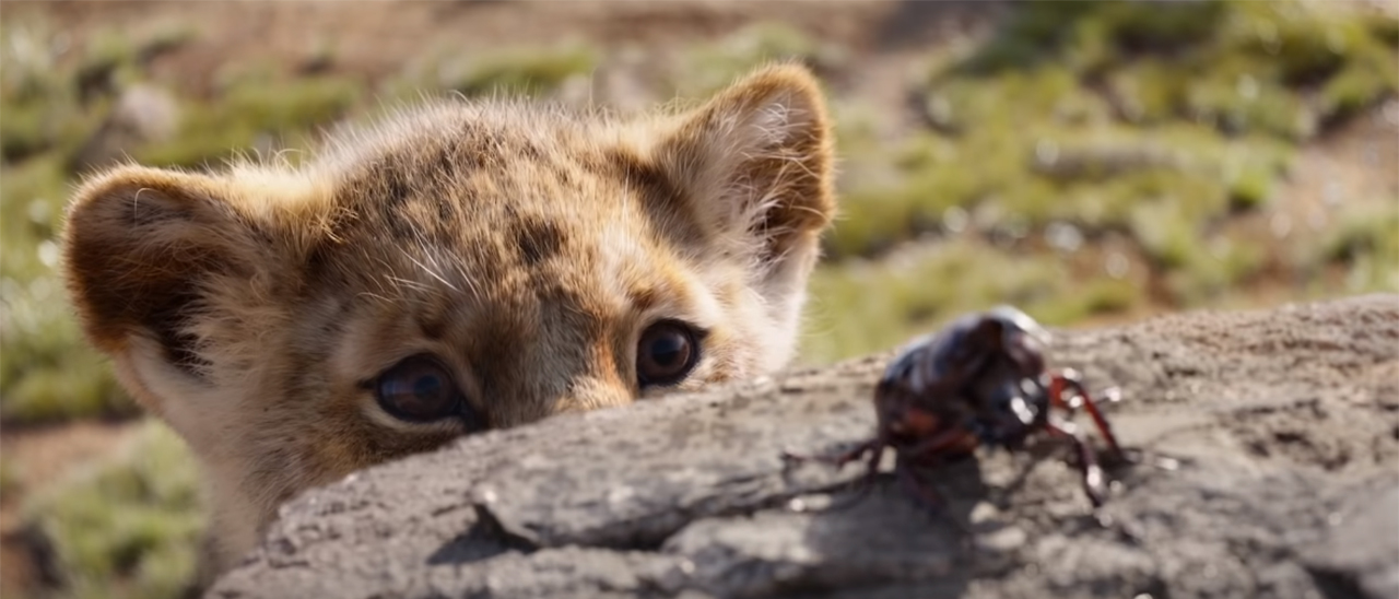 Catalogo Disney+: serie TV e film aprile 2020