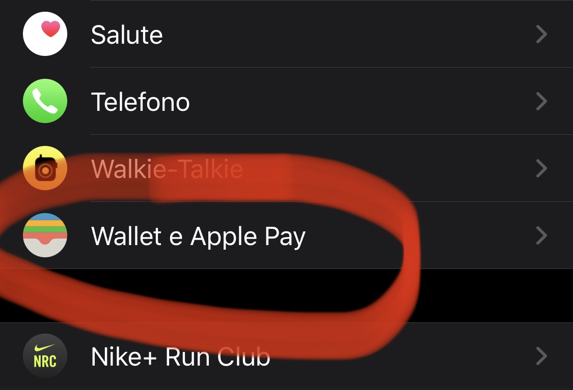Apple Pay Apple Watch