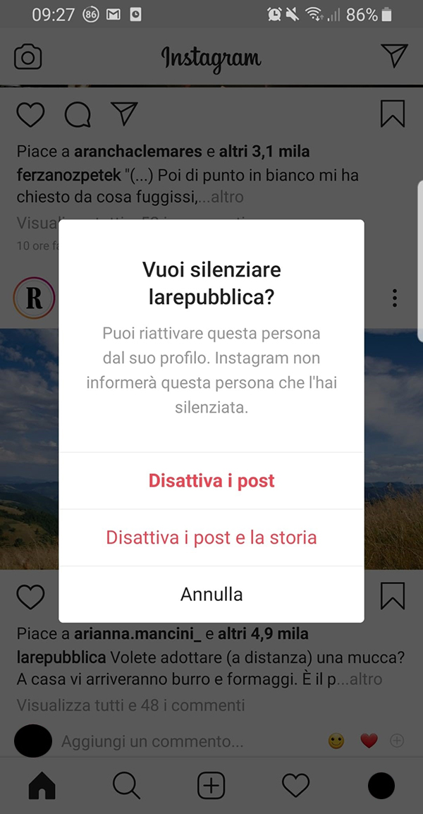 La finestra per silenziare i post su Instagram