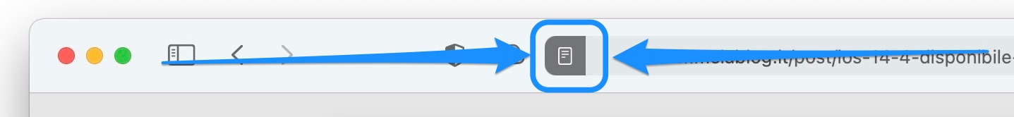 Attivare Vista Reader