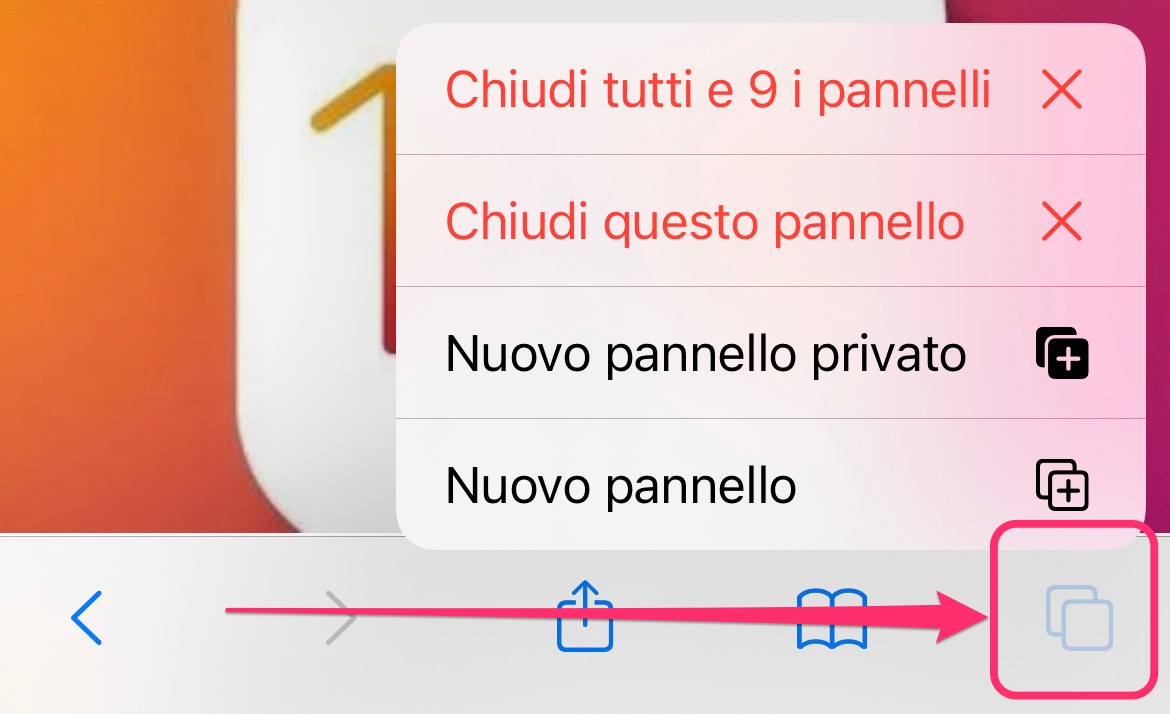 Chiusura Pannelli Manuale Safari