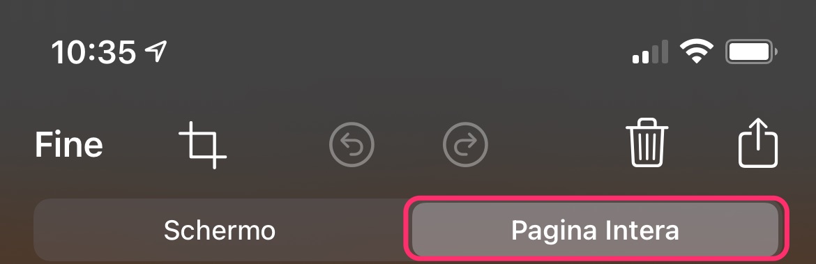 Creare screenshot PDF pagina Web iOS