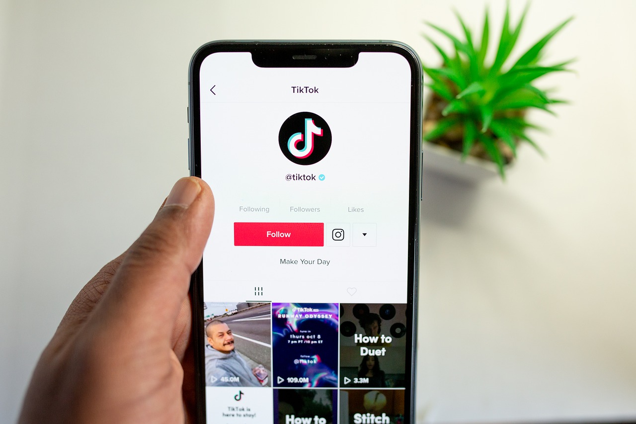 Cercare casa in affitto con TikTok