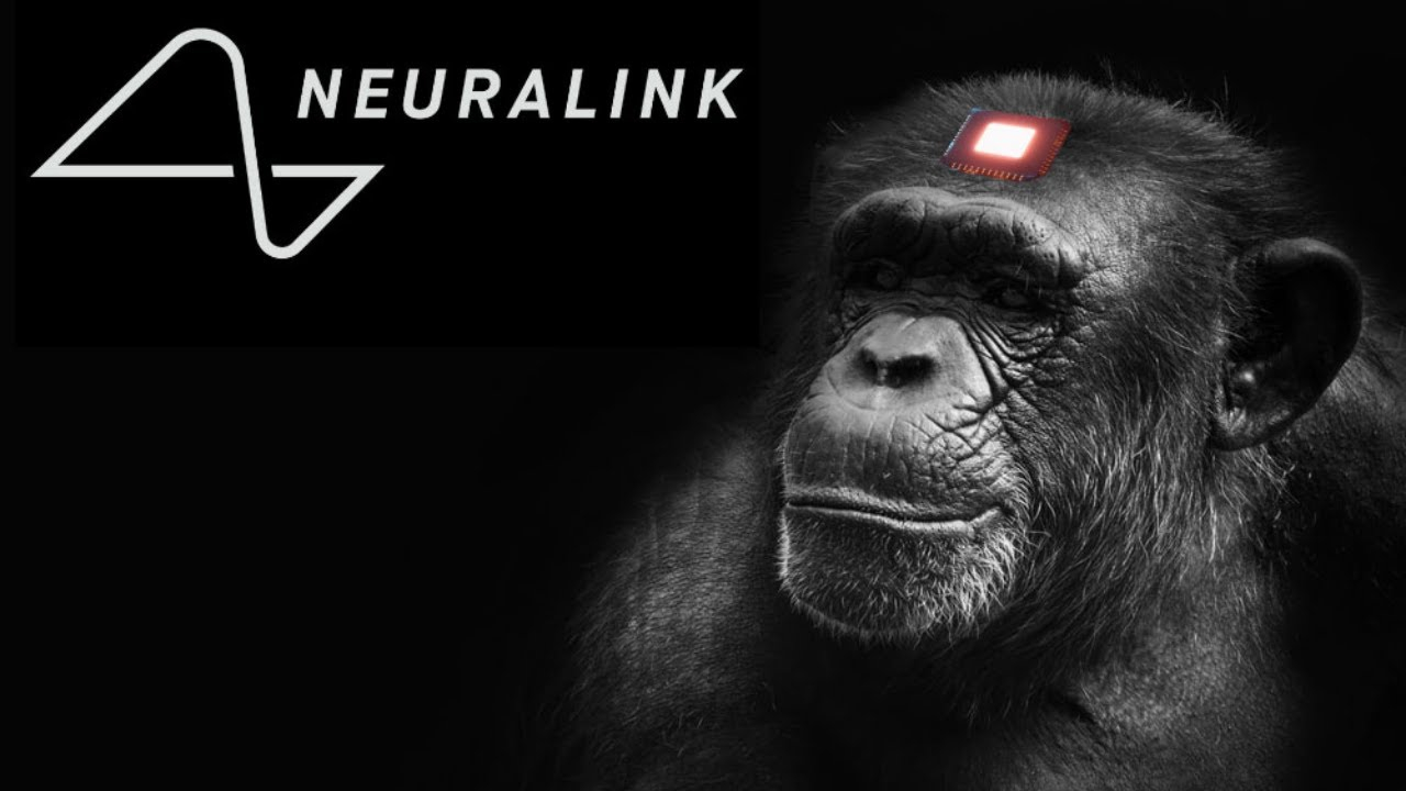 Una scimmia gioca a Pong usando la mente grazie a Neuralink