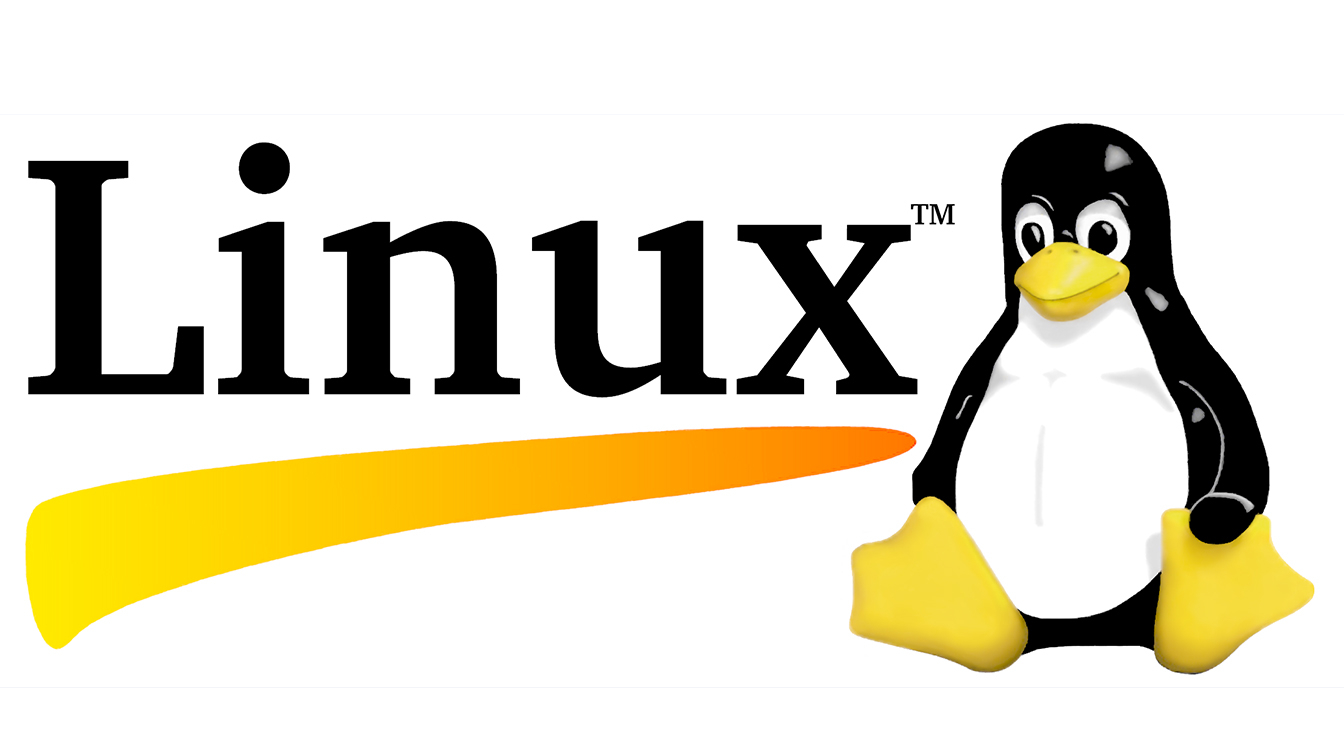 Trent'anni fa nasceva Linux, il papà del software libero