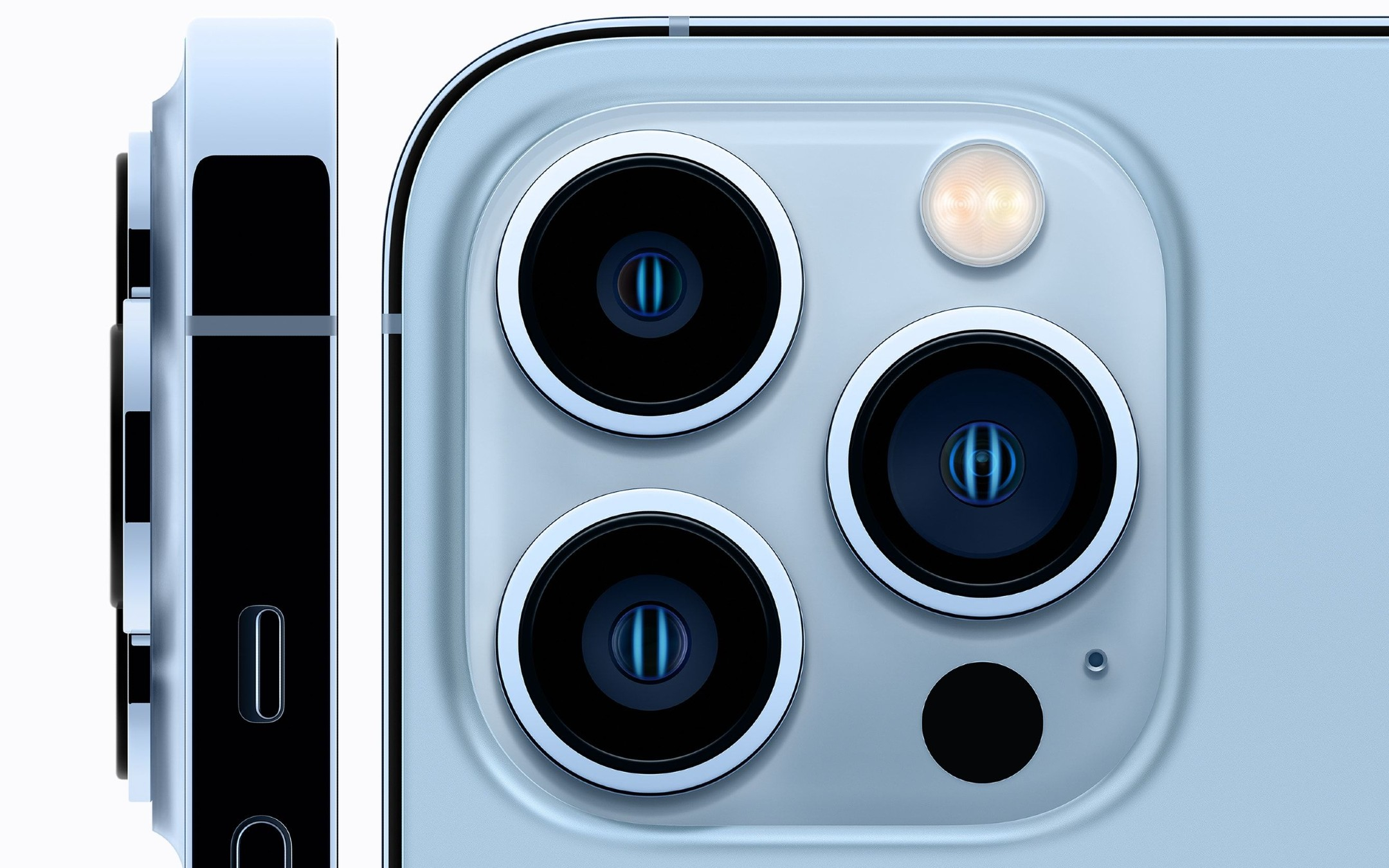 Shot on iPhone 2022: inizia la challenge per i 10 scatti macro migliori dell'anno