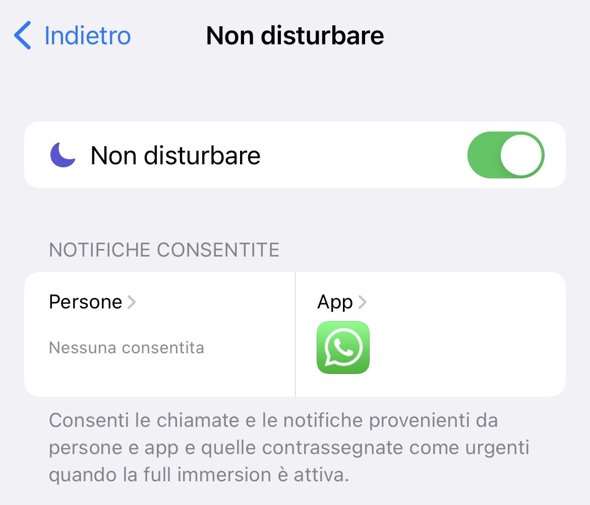WhatsApp Full Immersion