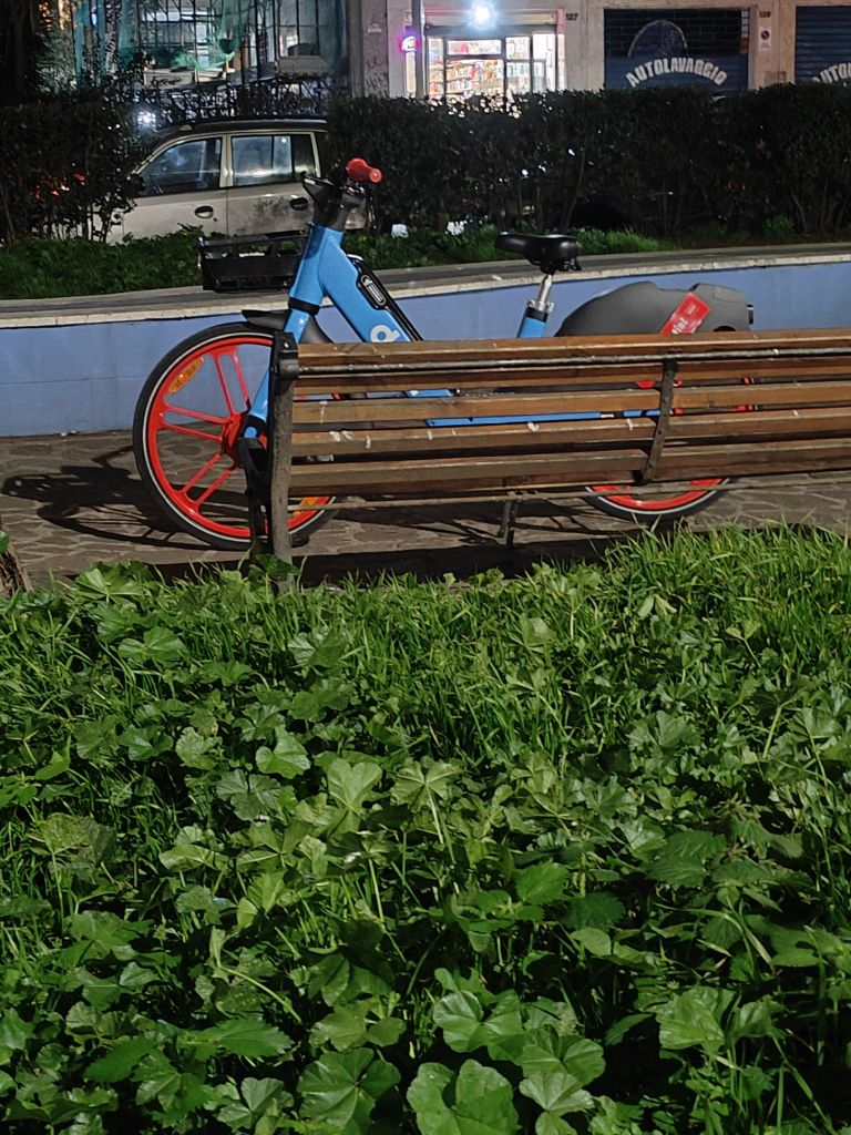 foto notturna OPPO Find X5 Pro