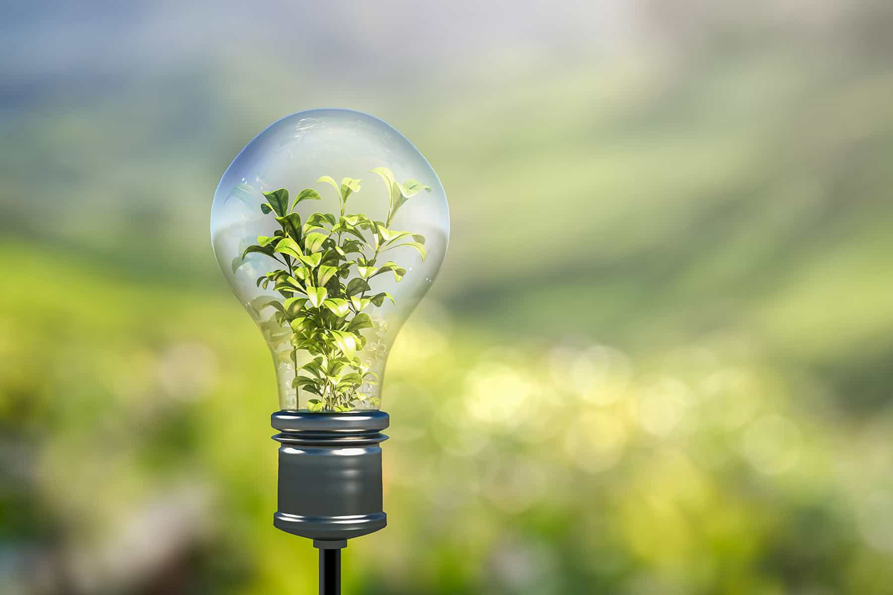 M’illumino di Meno: oggi è la Giornata del risparmio energetico e della sostenibilità