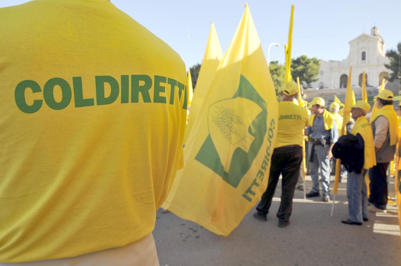 L’America First di Donald Trump pronta a colpire anche l’Italia. Dazi, l’allarme di Coldiretti su agroalimentare