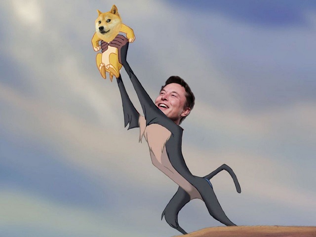 Musk alimenta la Dogecoin mania a colpi di tweet, record anche per il Bitcoin