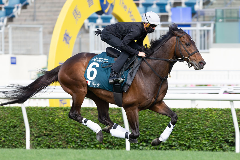 Cripto-mania: è boom per i cavalli da corsa digitali venduti a 125mila dollari