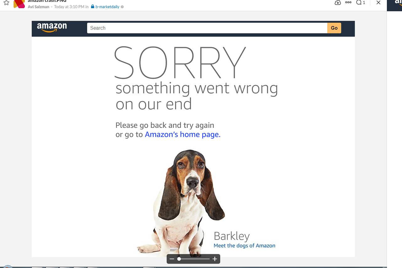 Sito di Amazon fa crash all’inizio del Prime Day. Proteste sui social, ma sarà record di vendite