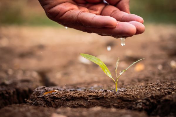 PIL, l’insospettabile alleato del clima: crescita e green devono coniugarsi