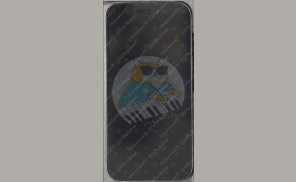 iPhone 15 - Leak Display