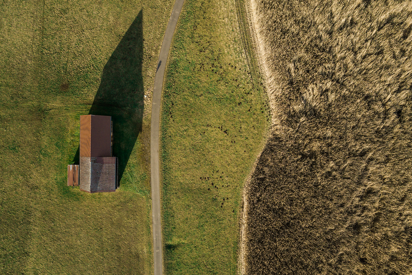 Case green, la direttiva europea spingerà i mutui green