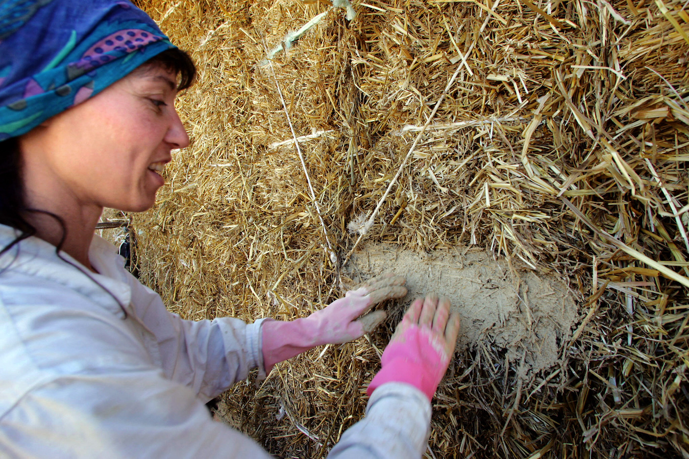 Btp Green, i titoli di stato dedicati alla sostenibilità. Ecco cosa sono