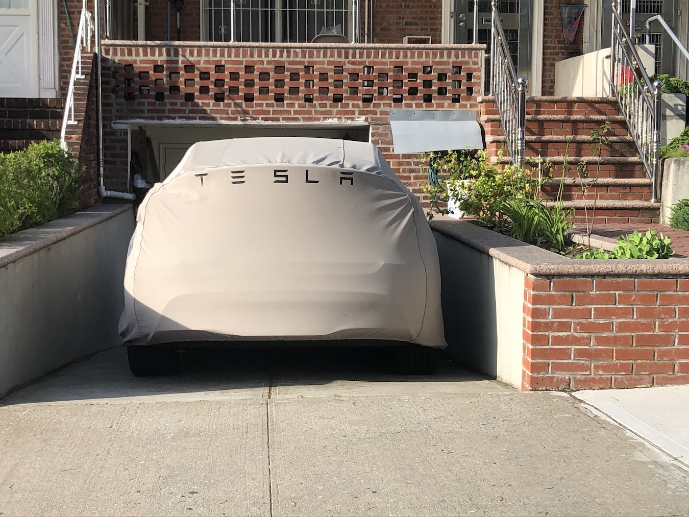 Tesla, Google e tanti altri: i brand più sostenibili tra gli italiani