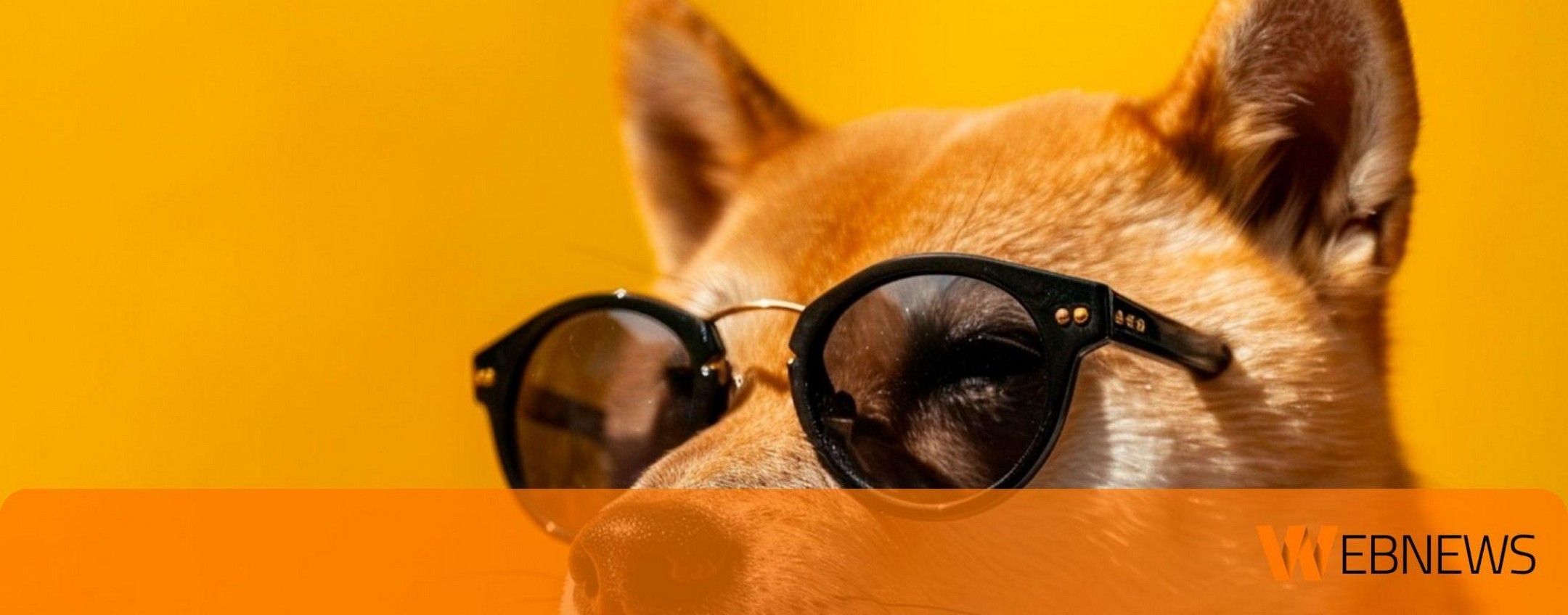 Cinque Meme Coin per cavalcare la Bull Run di maggio