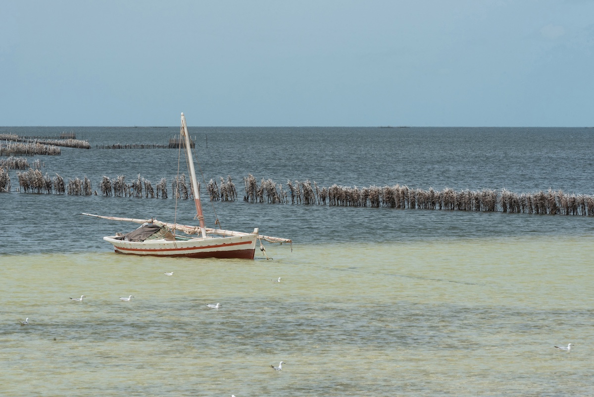 Pensioni, la tassazione è al 5% per chi si trasferisce in Tunisia