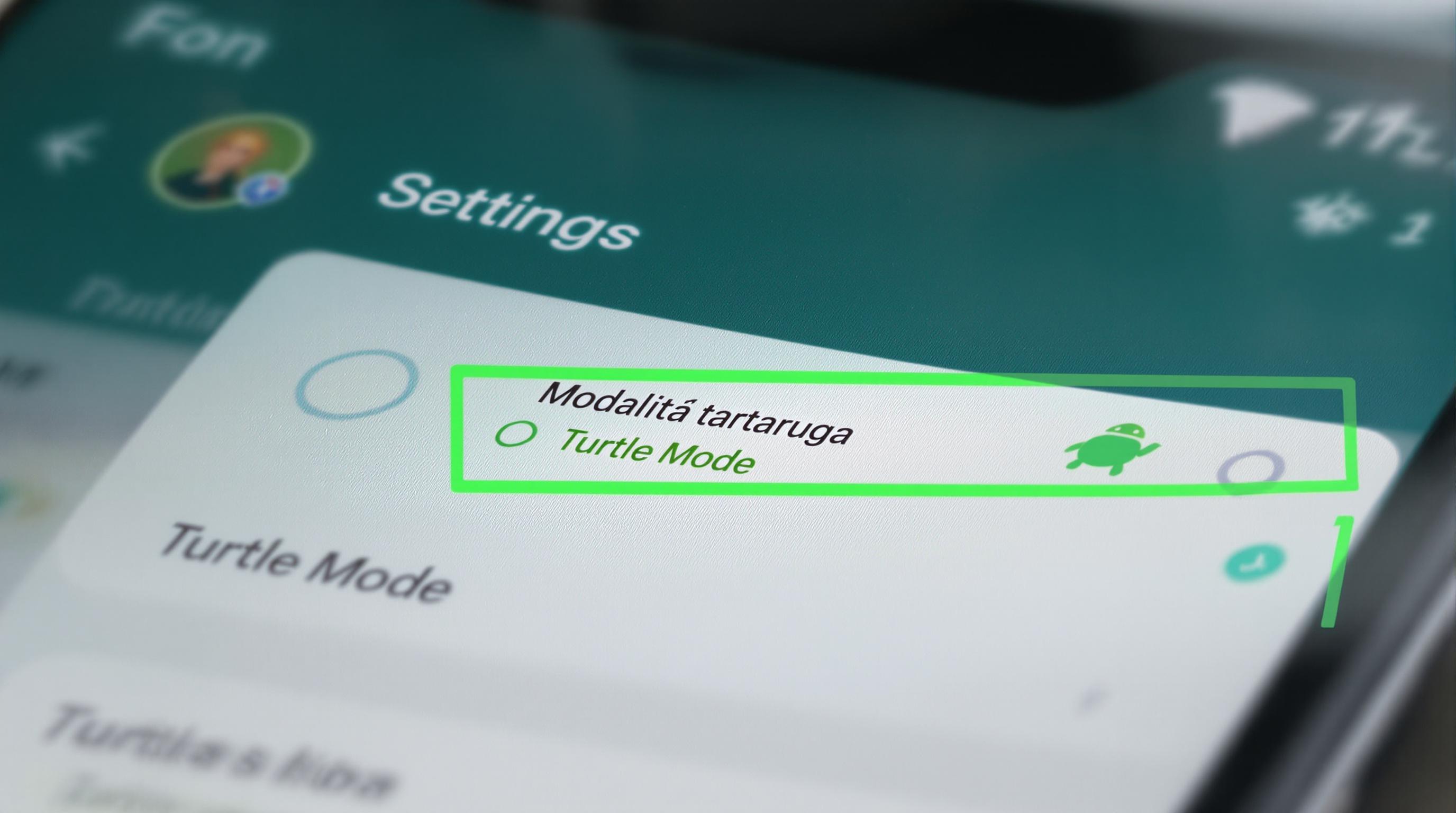 Come attivare la modalità tartaruga su WhatsApp e perché è così popolare