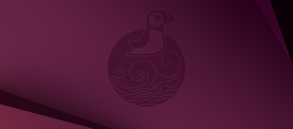 Ubuntu 25.04: tutte le novità della nuova release di Canonical