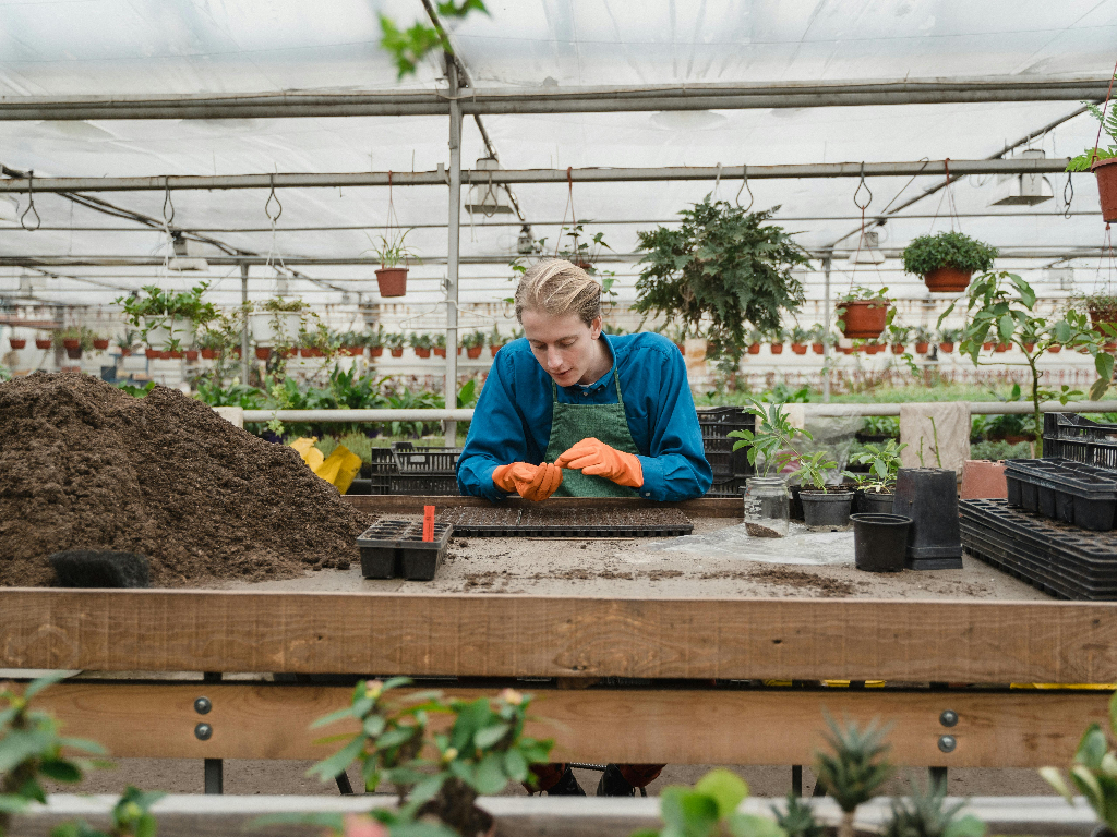 Giovani agricoltori: come pagare meno tasse con le novità fiscali 2025