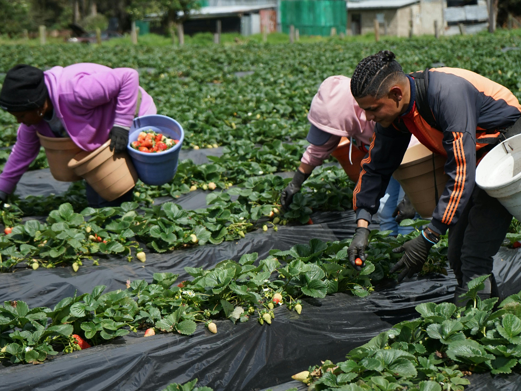 Cresce la domanda di lavoratori extra UE: un’impresa su tre pronta ad assumere