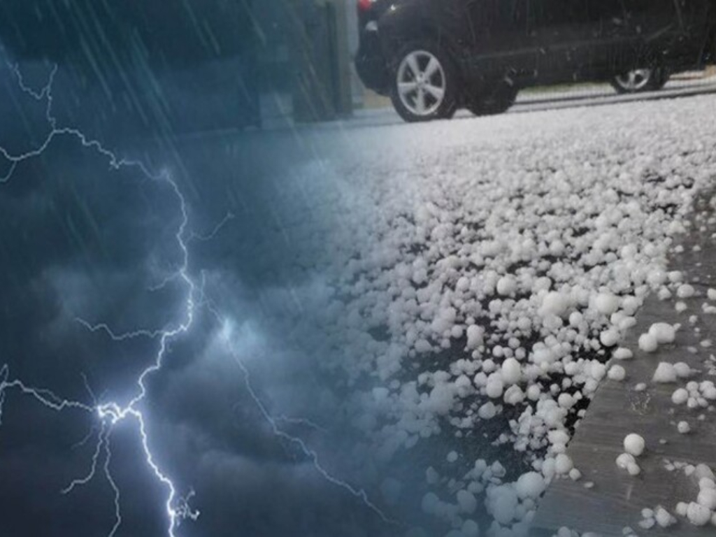 Danni da grandine e alberi: quale assicurazione copre?