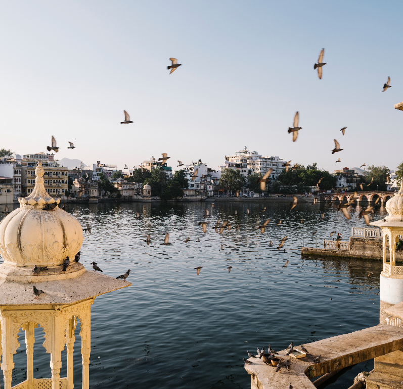 Afflussi di capitali in India: spinta da riforme e solidità economica