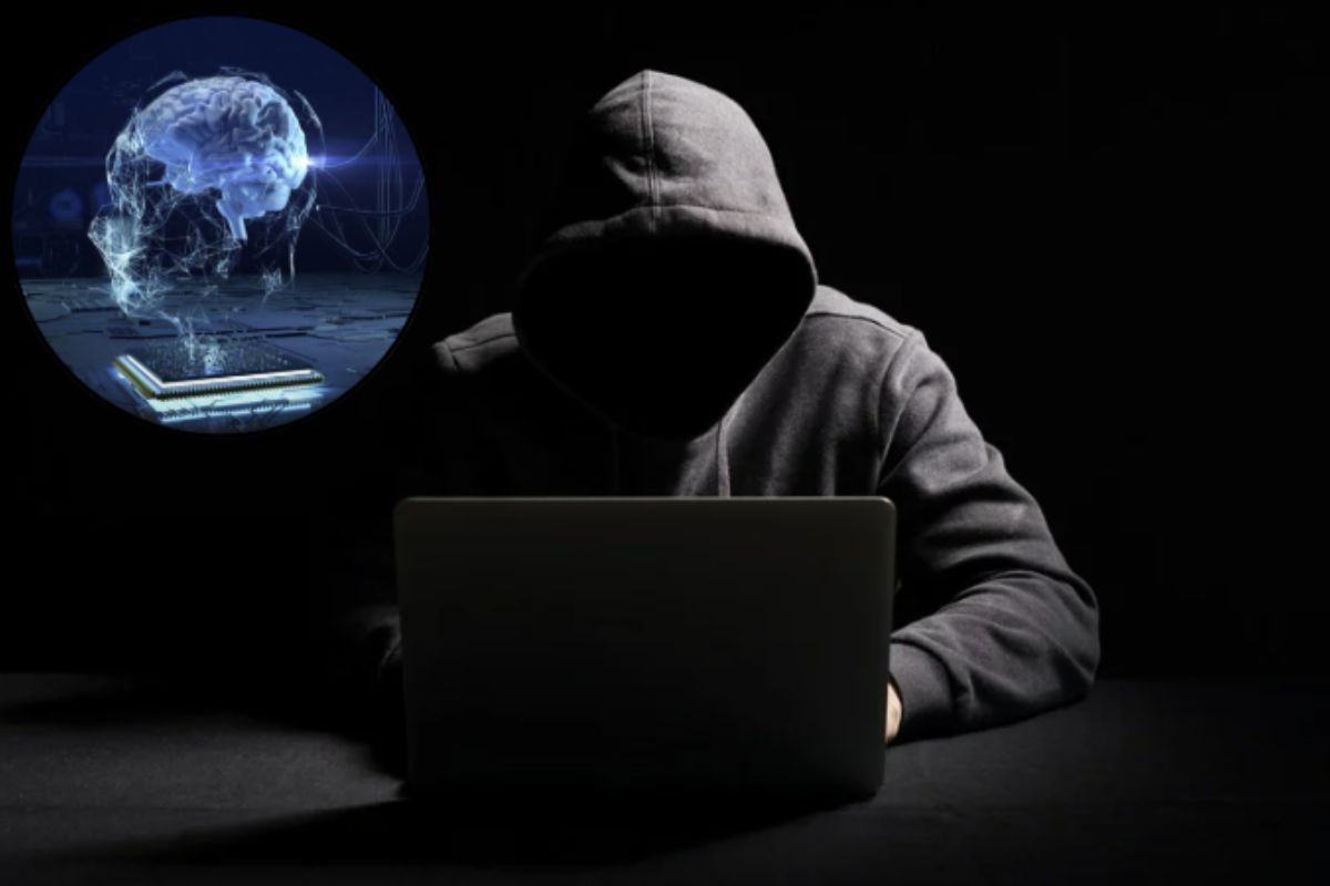 Uno degli aspetti più innovativi è proprio la segmentazione dei dati. Leak Bazaar suddivide le informazioni in categorie