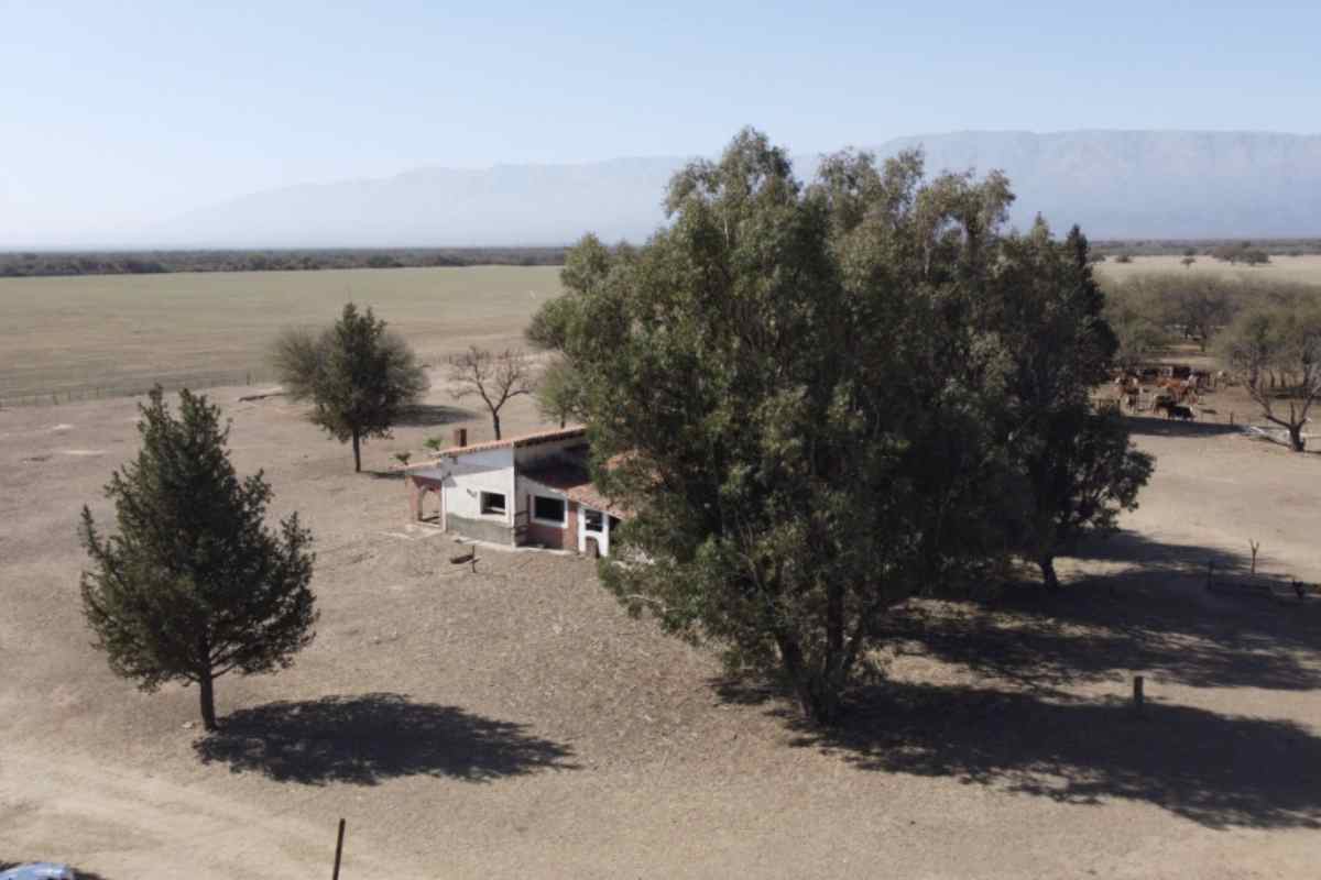 Paulo Dybala terreno 